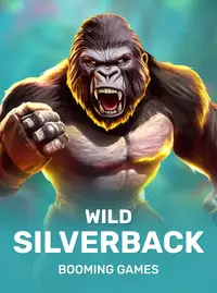 Wild Silverback