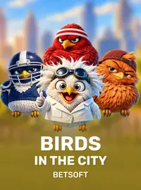 Birds in the City
