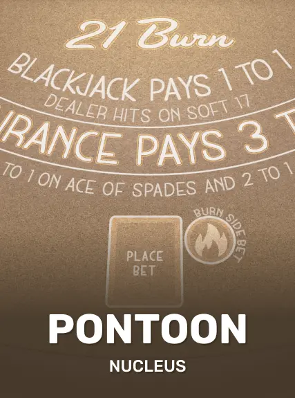 Pontoon 21