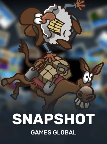 Snapshot